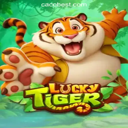 Discovering LuckyTiger: An Exciting New Slot Game Experience